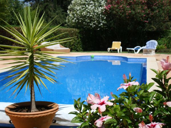 Pool Terrace Renovation in Loveland