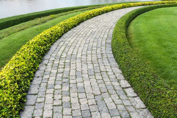 Sidewalk Pavers Installation in Loveland