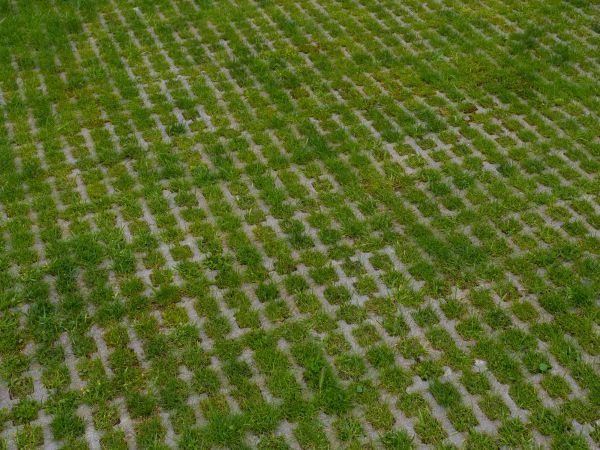 Permeable Pavement Service in Loveland